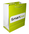 Smart Box Bag