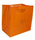 Solo Express Plastic Shopping Bag