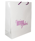 intrigue plus paper shopping bag