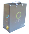 Lynne Valley Optometry Paper Shopping Bag