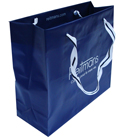 Reitmans Plastic Shopping Bag