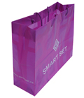 Smart Set Plastic Shopping Bag