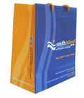 Island Optometry Paper Shopping Bag
