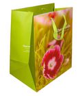 Paper Shopping Bag