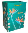 Paper Shopping Bag