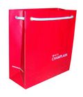 Paper Shopping Bag