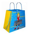 Paper Shopping Bag